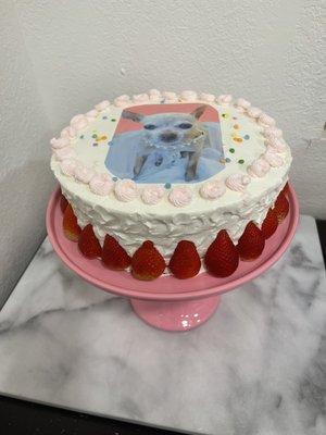 Custom birthday cake with customers real pet photo