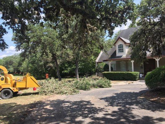 Fair Oaks Ranch Tree Service