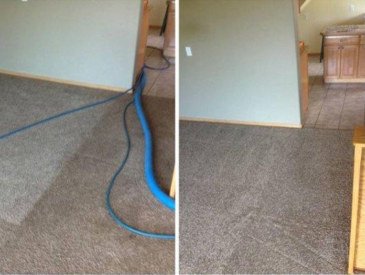 Carpet cleaning service in Mesquite, TX.