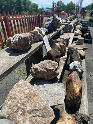 TONS of geodes lined up outside the shop