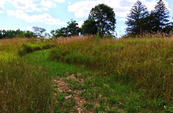 Back pasture walking path.