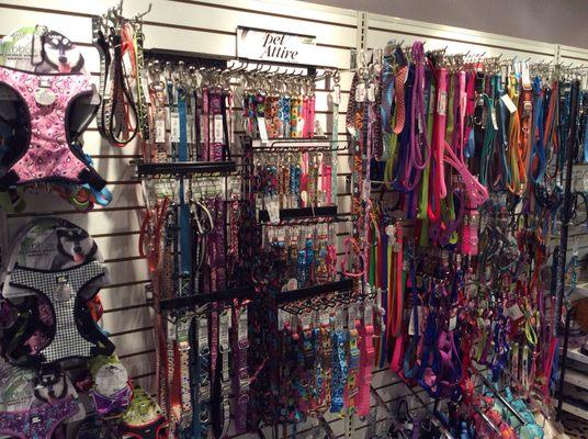 Stylish leashes, collars and harnesses