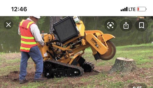 Stump grinder service available.