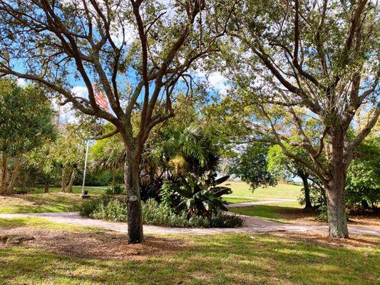 Nice pathway goes all around the park, in-between the trees, and there are plenty of benches all throughout the park.