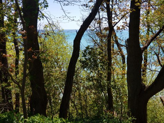 Doctors park and Lake Michigan