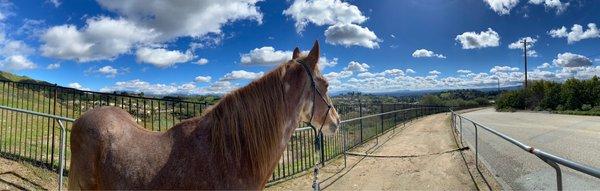 Bridle trail out the driveway from Tom's Place. Downtown LA seen in the distance.