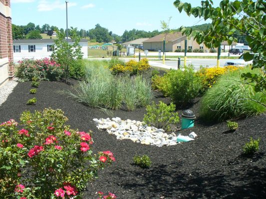 Rain Garden- a landscape option to beautify your yard, and alleviate problems from stormwater flooding.