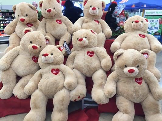 Life-sized teddy bears for Valentine's Day $39.99