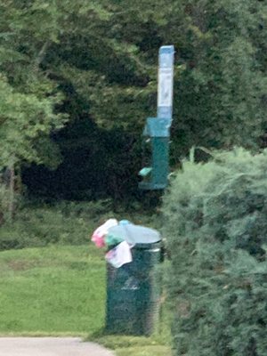 Overflowing dog poop bins