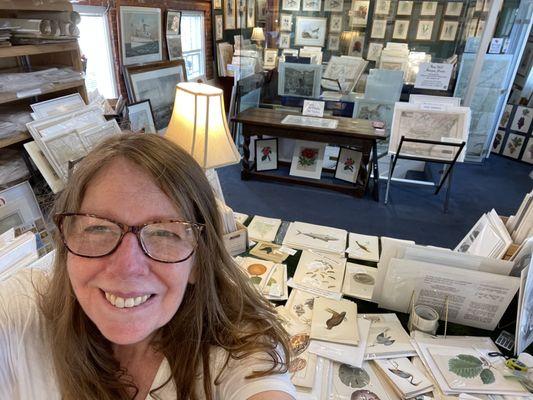 Anne Hall in her Antique Prints & Maps Gallery