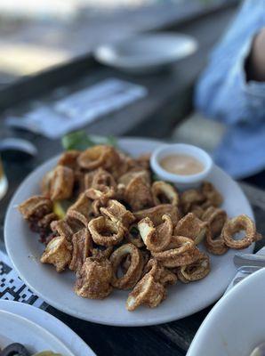 Perfectly fried calamari, highly recommend!