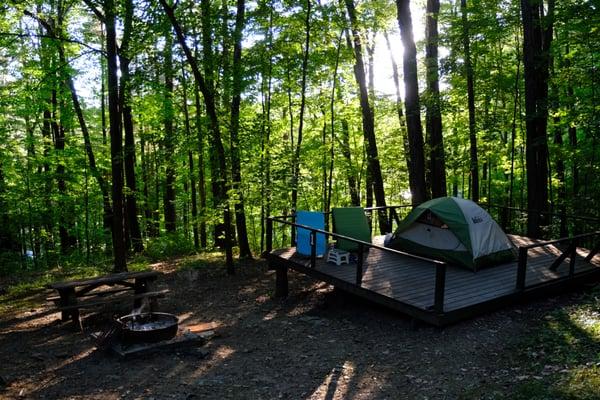 Platformed tent site #1. Lot's of bugs and mosquitoes.