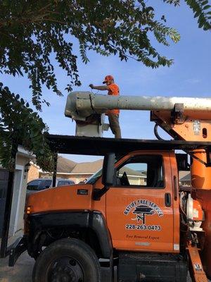 Ratliff Tree Service