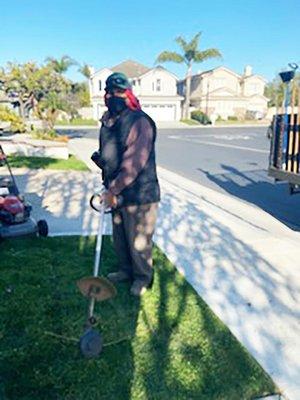 Maldonado's Gardening and Tree