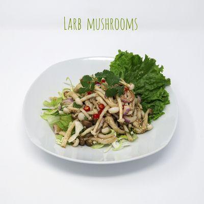 For vegetarian option you can try our larb mushrooms so good!!