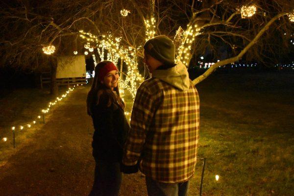 Enjoy walking through the Christmas light trail around the farm!