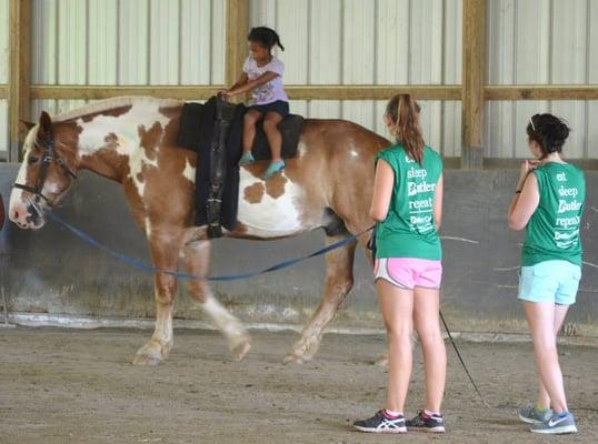 Vaulting at our Indoor Riding arena