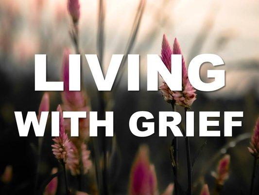 https://www.annacedar.com/self-care-tips/living-with-grief/