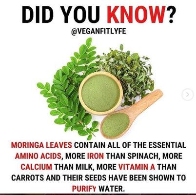 Moringa another one of our popular and effective herbs.