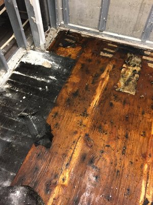 Subfloor of a mold closet after a pipe leak!