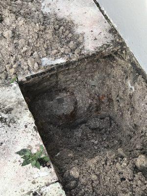 Sewer main in a house has been found