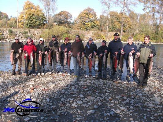 Fall Coho Salmon