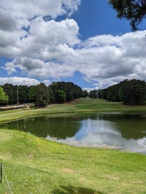 8th hole. Blue and white tees to left.