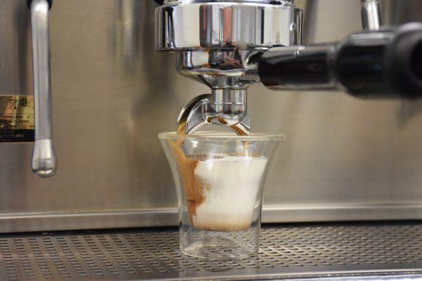 Espresso extracted into a bed of steamed milk.