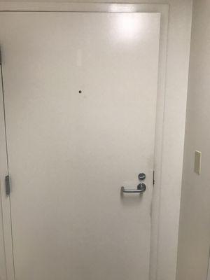 Apartment door