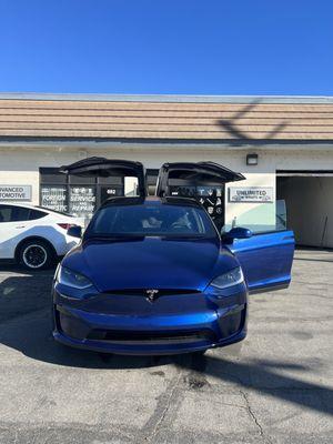 MODEL X TINTED