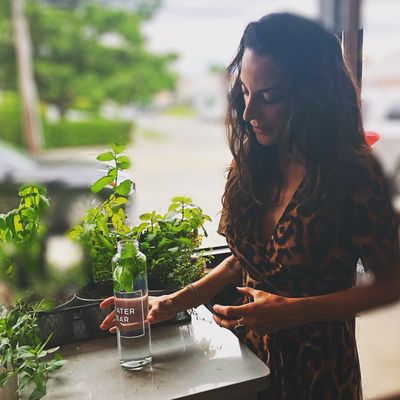 Herb infuse your water with our #organic herbgarden