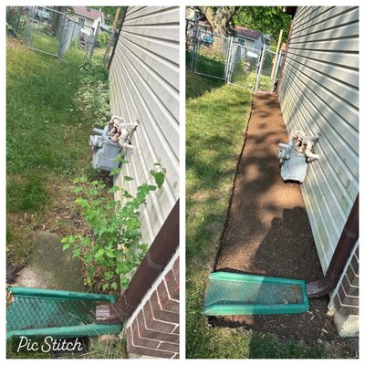 Before and after. Bed creation/edging. Bed clean up including removal of weeds,  plants and rocks.