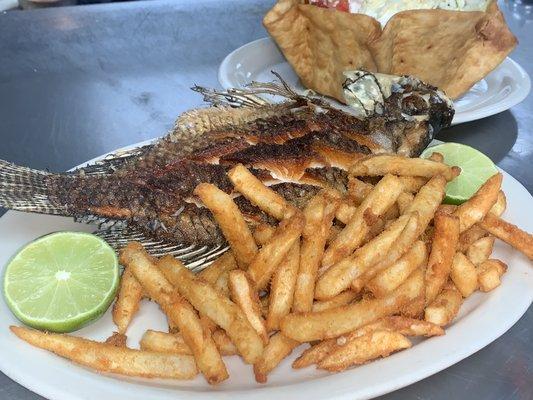 Whole tilapia deep fried and served with rice, lettuce, avocado, and a krabmeat enchilada!!!!