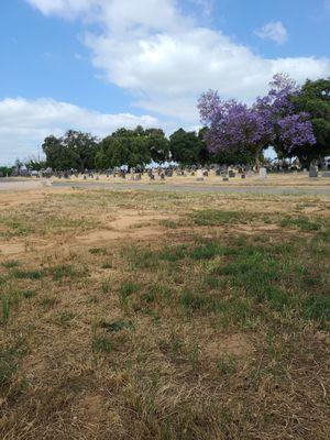 Horrible conditions this cemetery is kept under