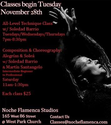 Soledad Barrio & Noche Flamenca