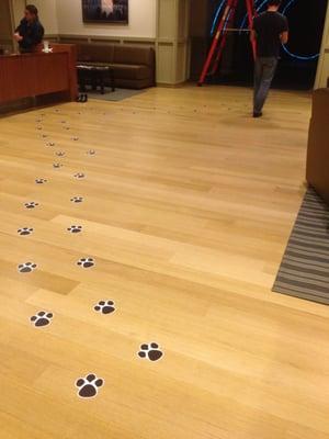 Floor graphics