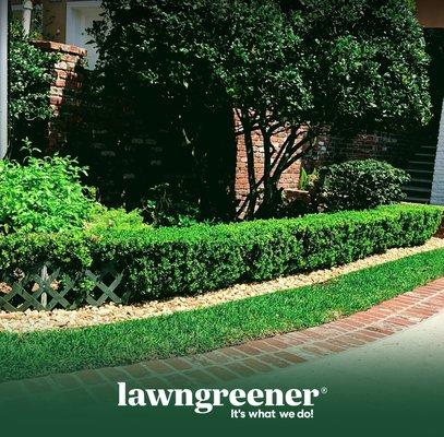 Lawn Care Jacksonville FL