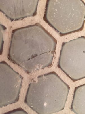 Shower floor with cracked tiles, and wrong grout color that began crumbling immediately.