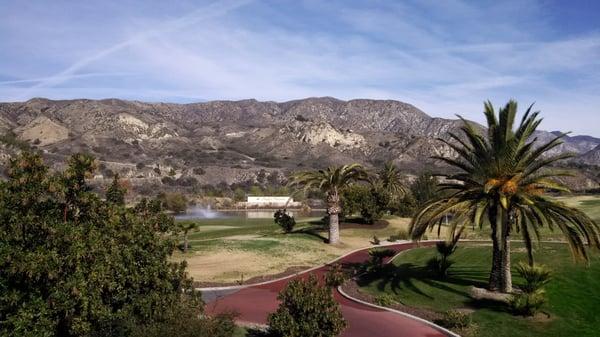 View from the patio... dine outside.