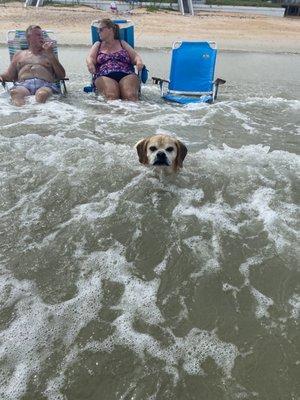 Roofer had a blast in the ocean