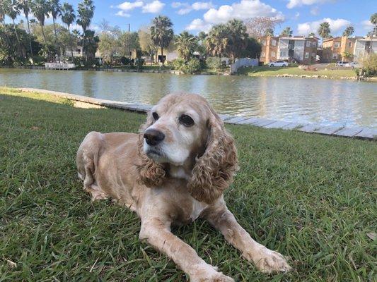 Just chilling near the water on this gorgeous day.