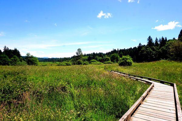 Boardwalk with Mountains.