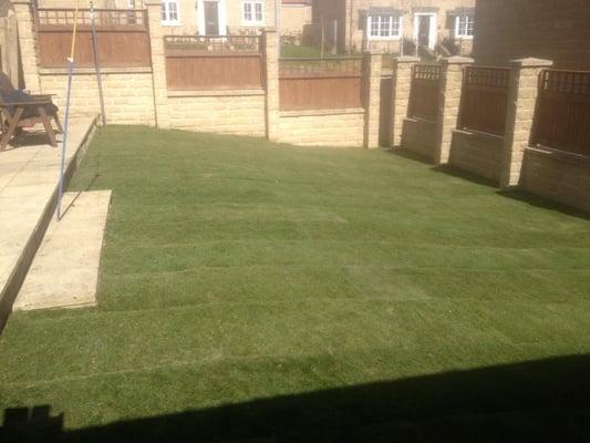 a nice green top grade lawn