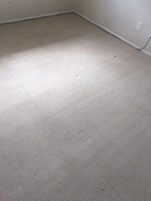 After Deep Clean system carpet is like new and deodorized!