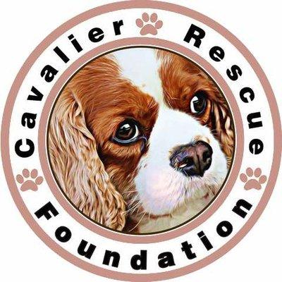 Cavalier Rescue Foundation