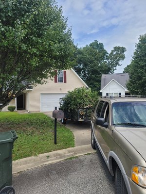 Trimmed the over hanging branches that were an eyesore to my client.