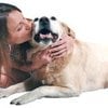 We love our pets.  Aqualux Carpet Cleaning is the pet stain and pet odor removal specialist in Plano.