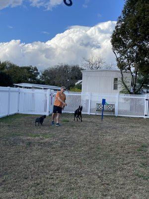 The dog park has no water for the dogs and the fence is cheap.