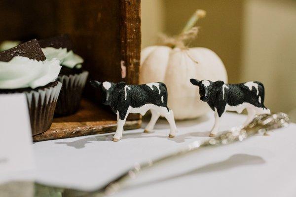 Cows for the Bride