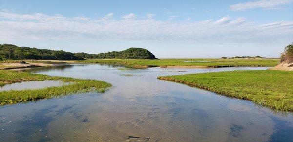 Fathers Day 2021 National Seashore Kayak Tour